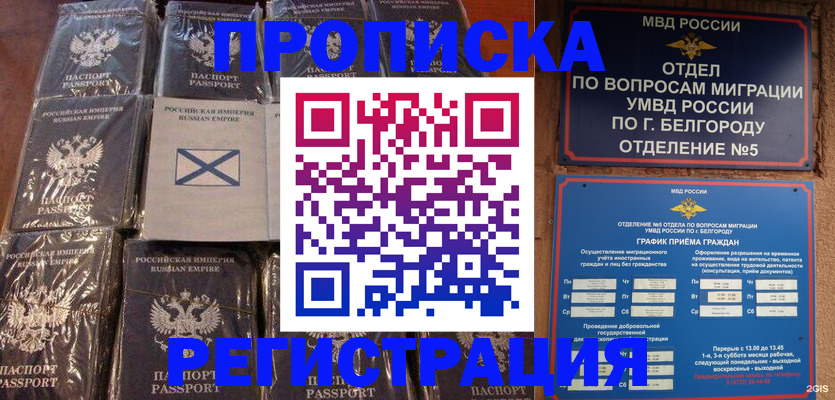 прописка гарантия в Апатитах